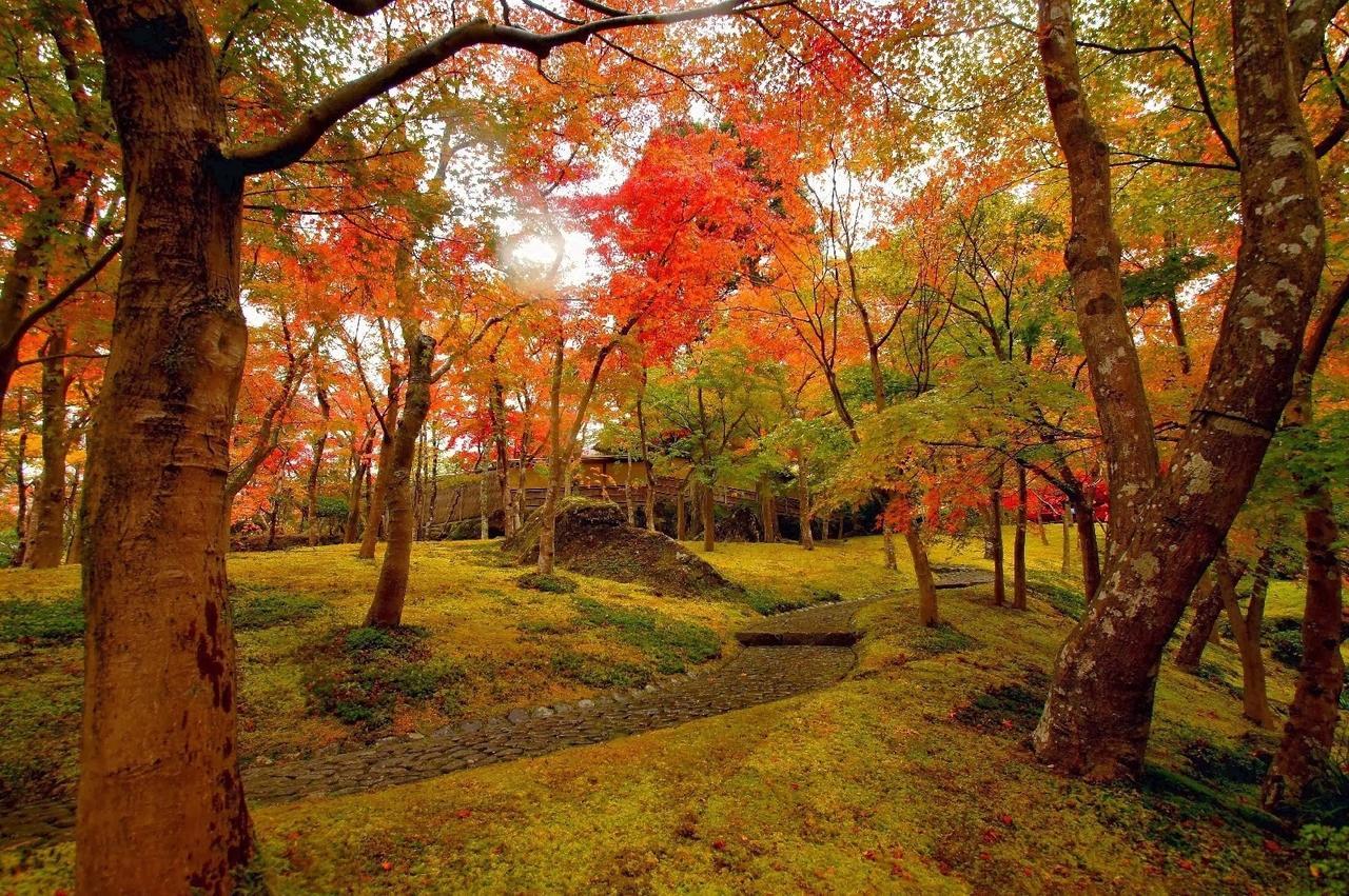 Jemsty Inn Hakone Ashinoko Экстерьер фото